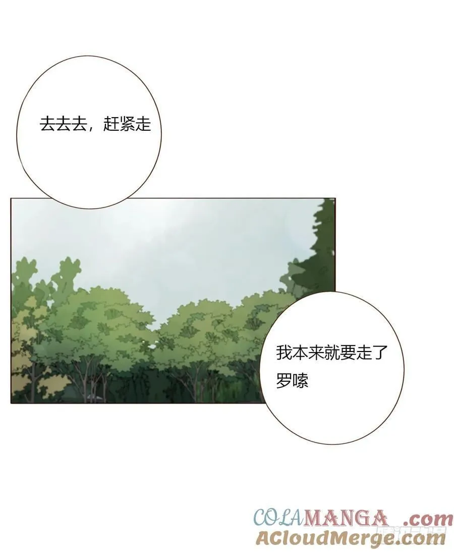 一六一章 求安慰 第39页