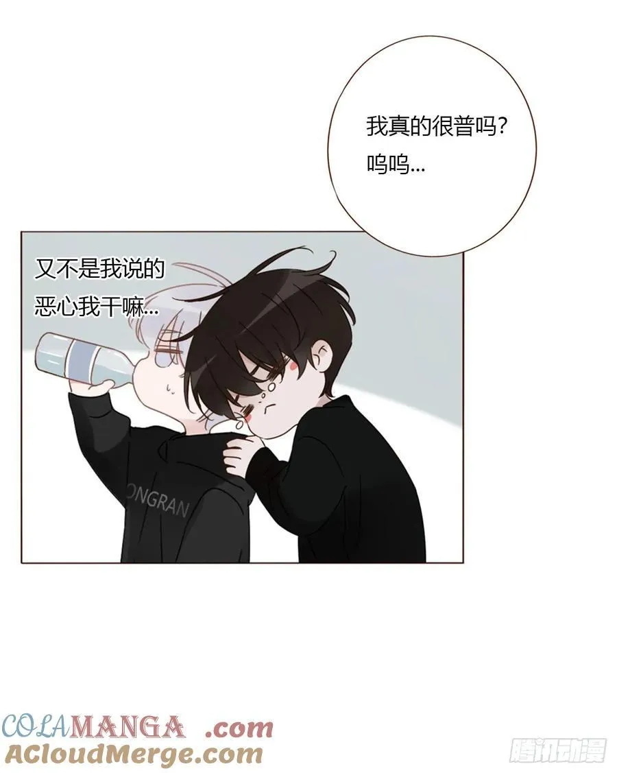 一六一章 求安慰 第41页