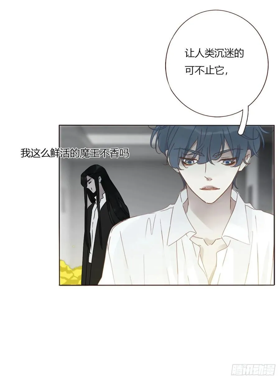 一六二章 你猜啊 第20页