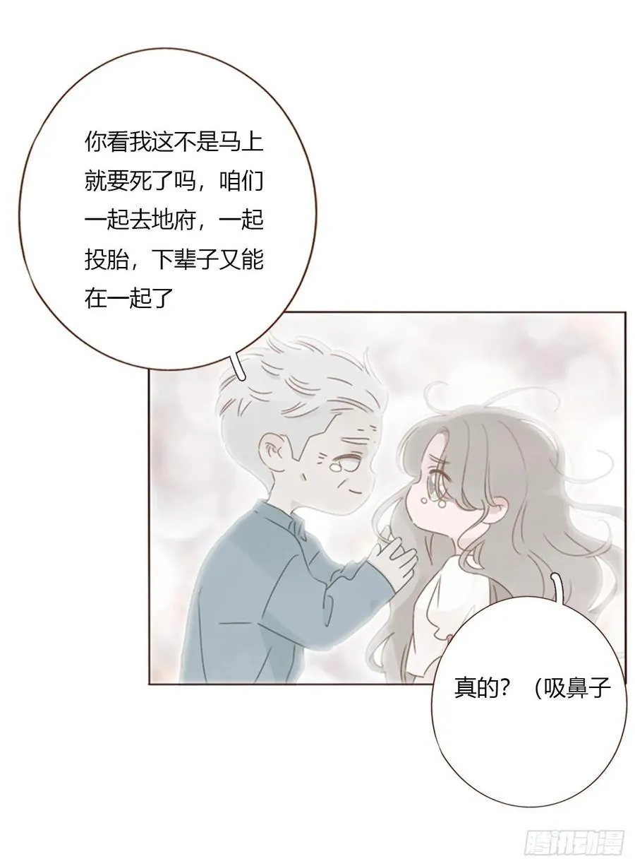 一六三章 轻松的一天 第8页