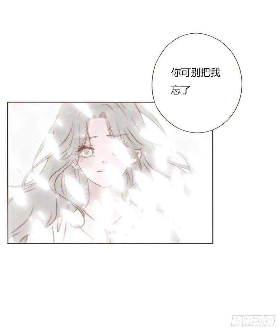 一六三章 轻松的一天 第11页