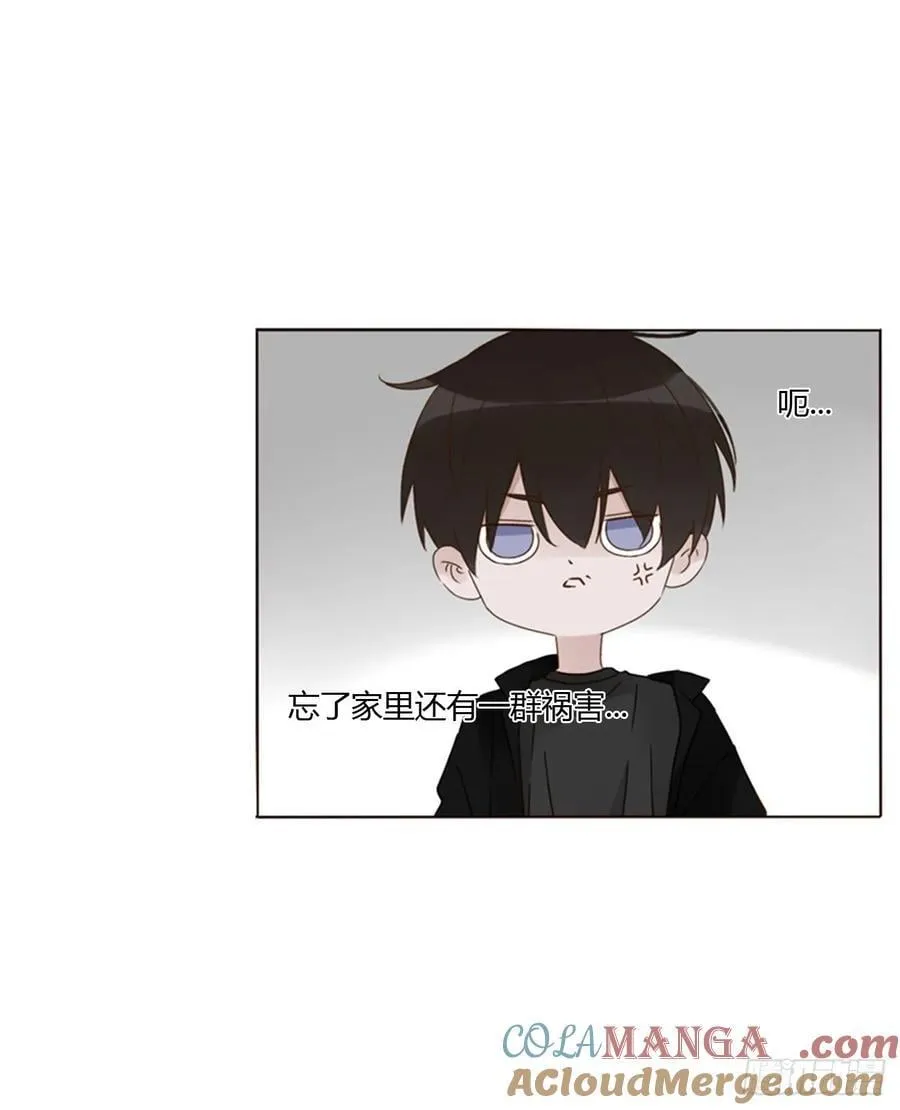 一六三章 轻松的一天 第22页