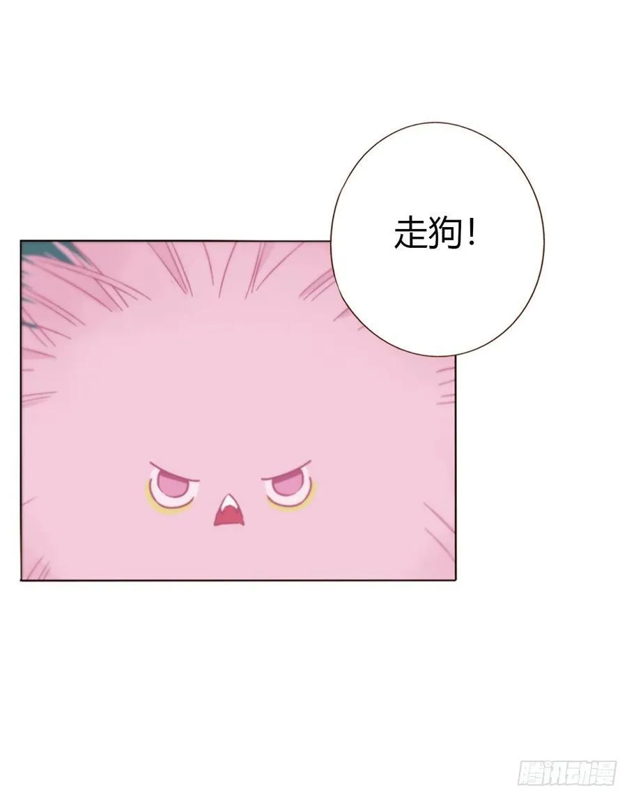 一六三章 轻松的一天 第23页