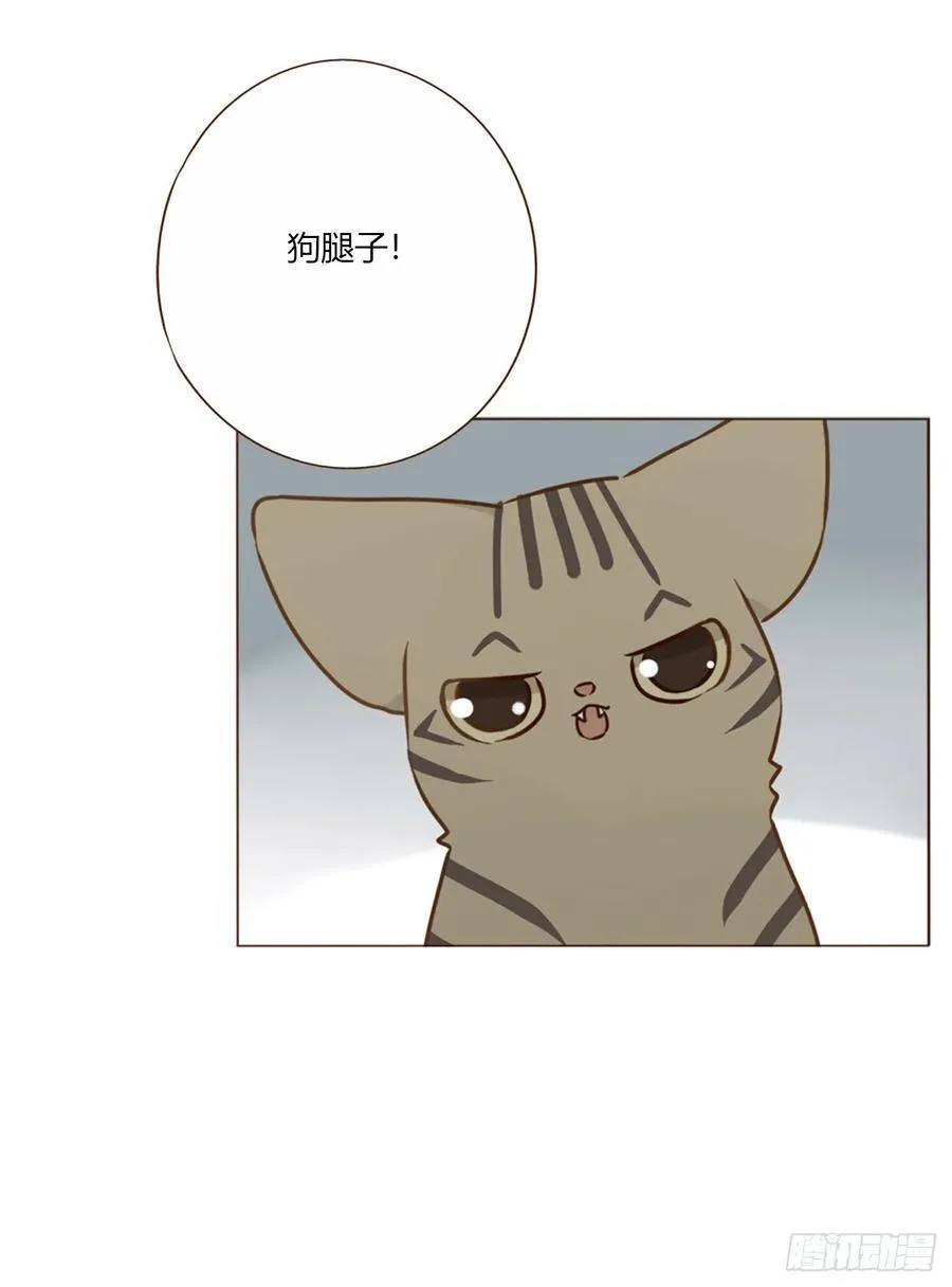 一六三章 轻松的一天 第24页