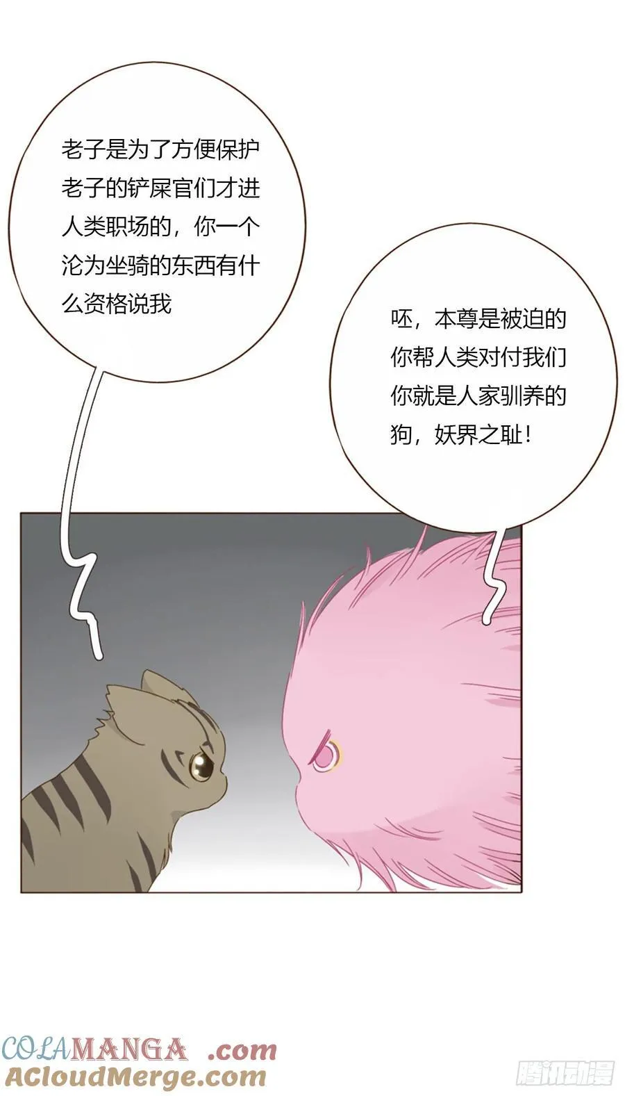 一六三章 轻松的一天 第25页