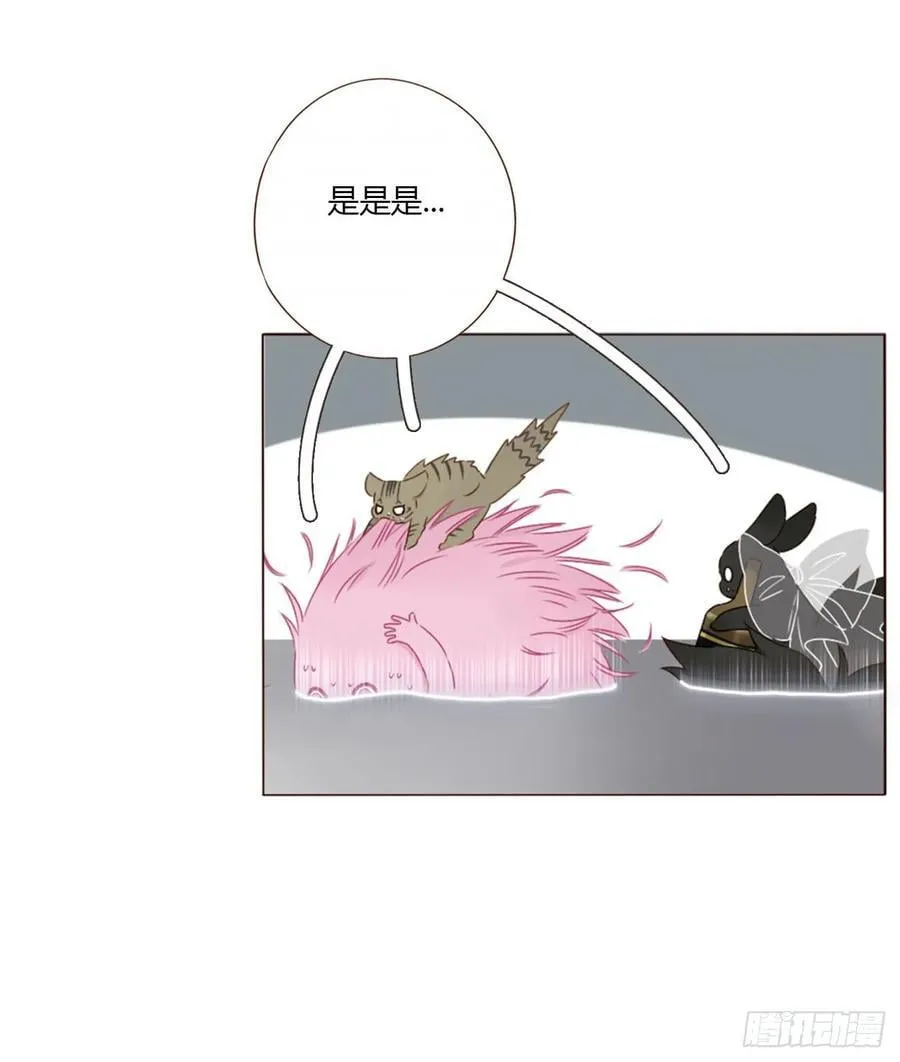 一六四章 礼物 第5页