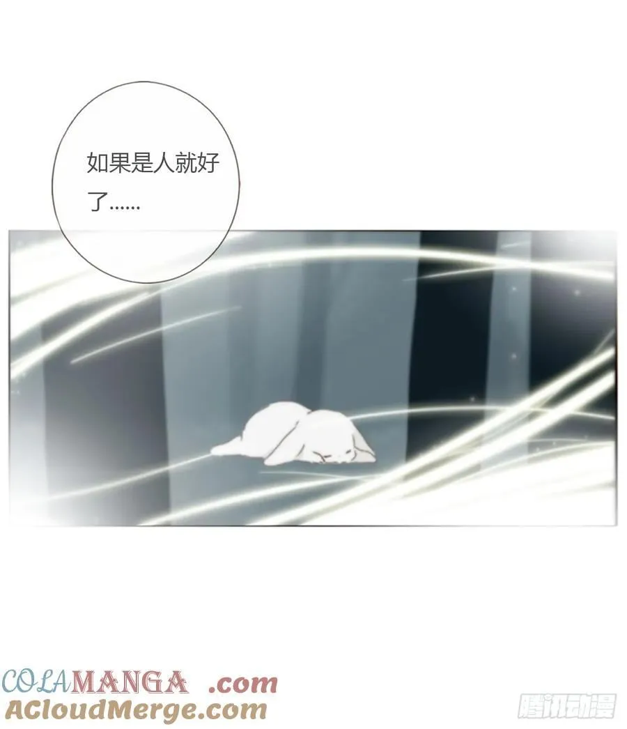 一六四章 礼物 第19页