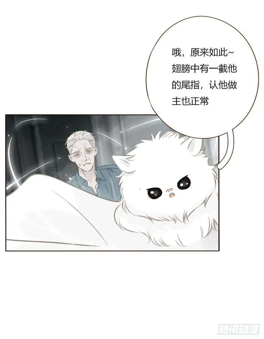 一六五章 馊主意 第5页
