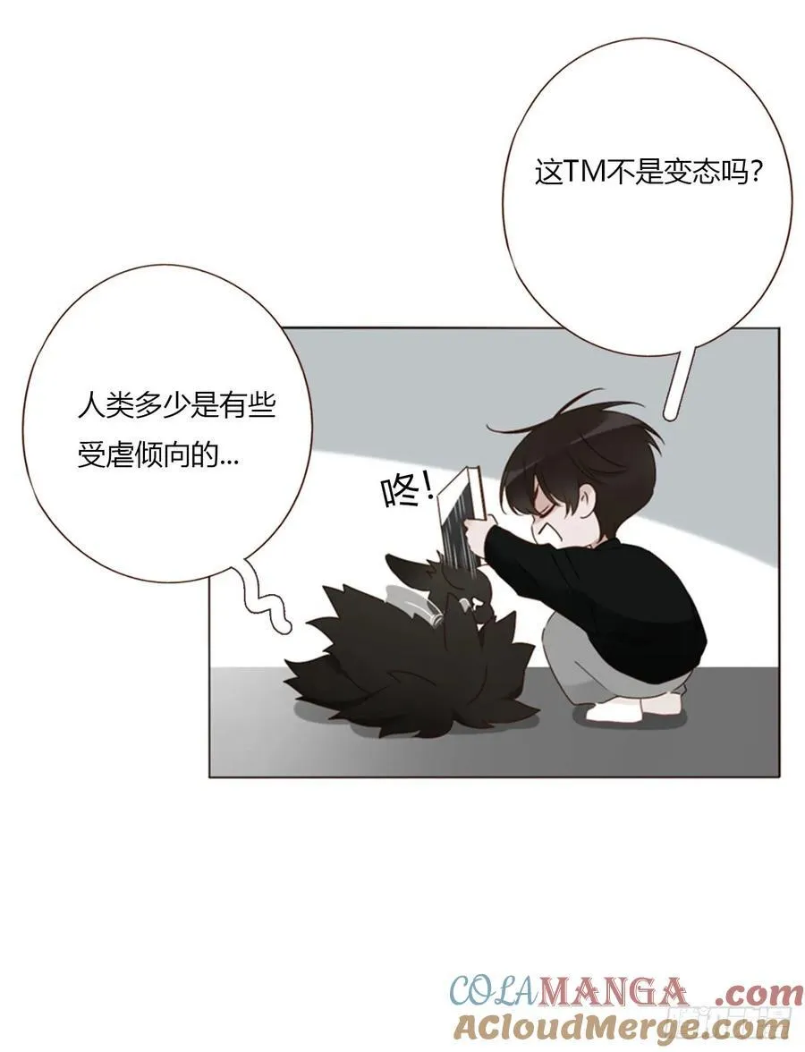 一六五章 馊主意 第37页