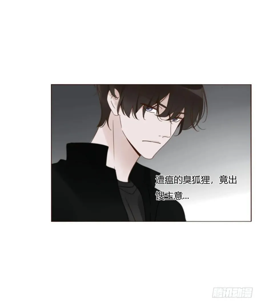 一六五章 馊主意 第39页
