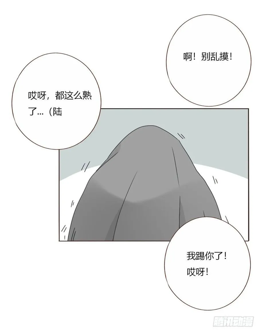 一六六章 重逢 第12页