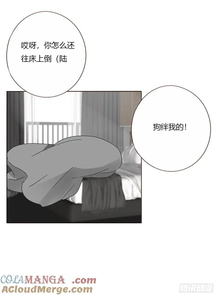 一六六章 重逢 第13页