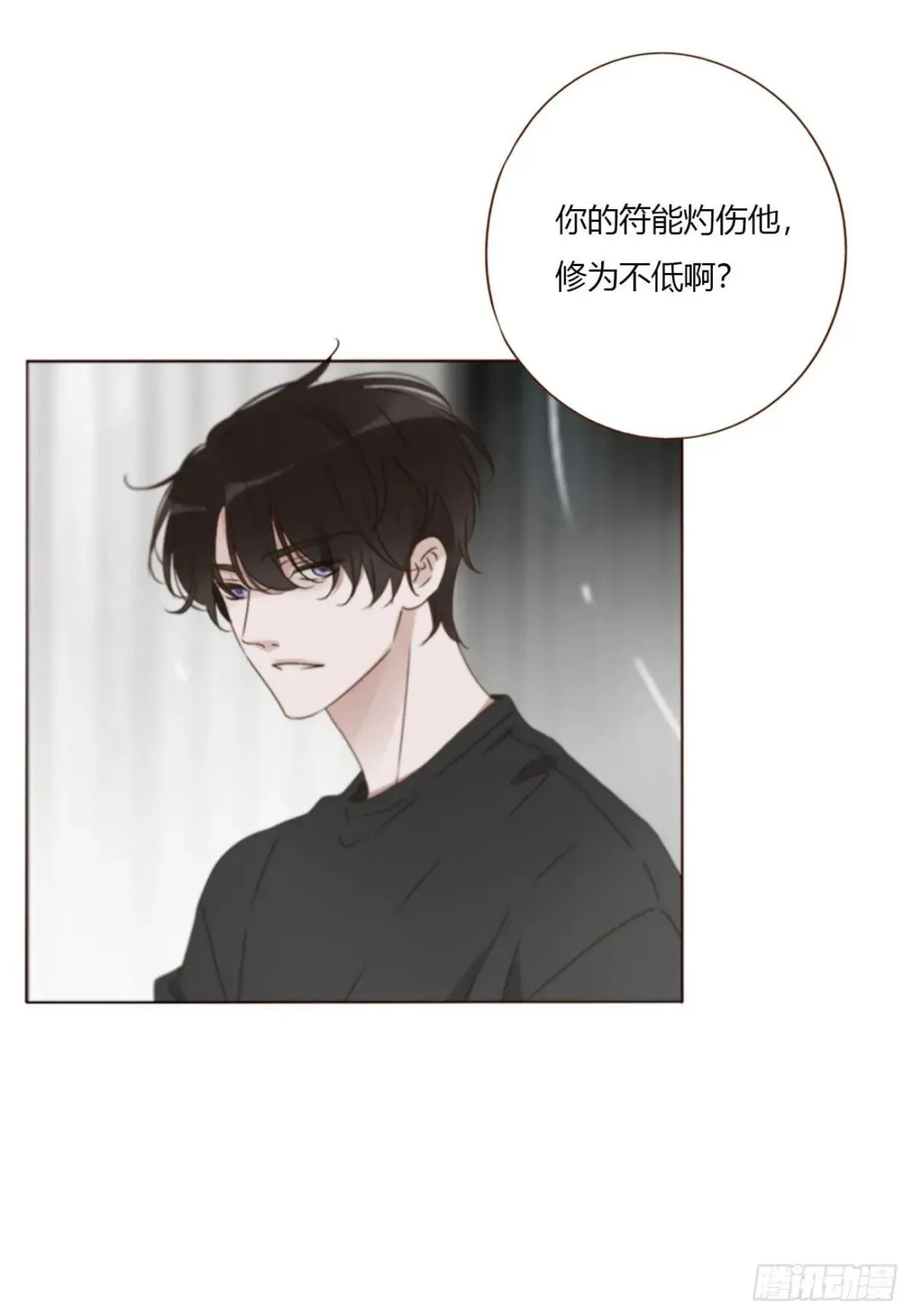 一六七章 灶笼 第5页