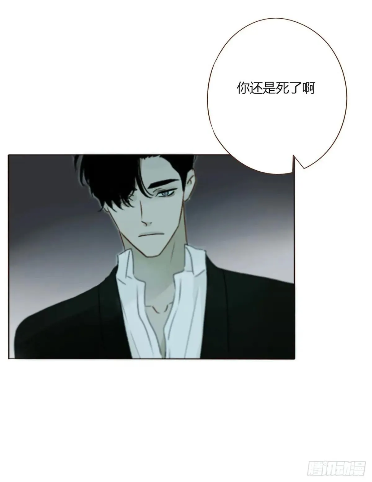 一六七章 灶笼 第11页