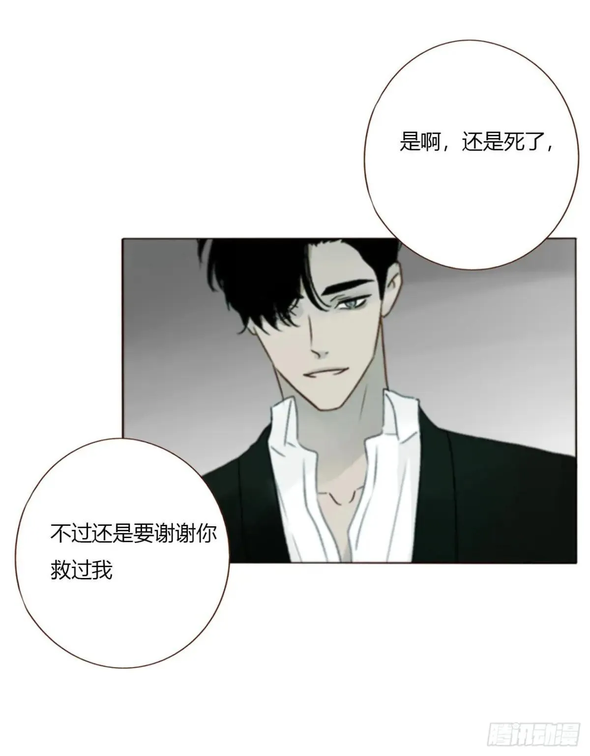 一六七章 灶笼 第12页
