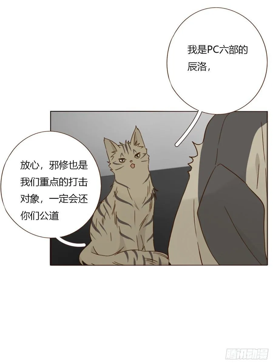 一七四章 千岩身上的秘密2 第8页