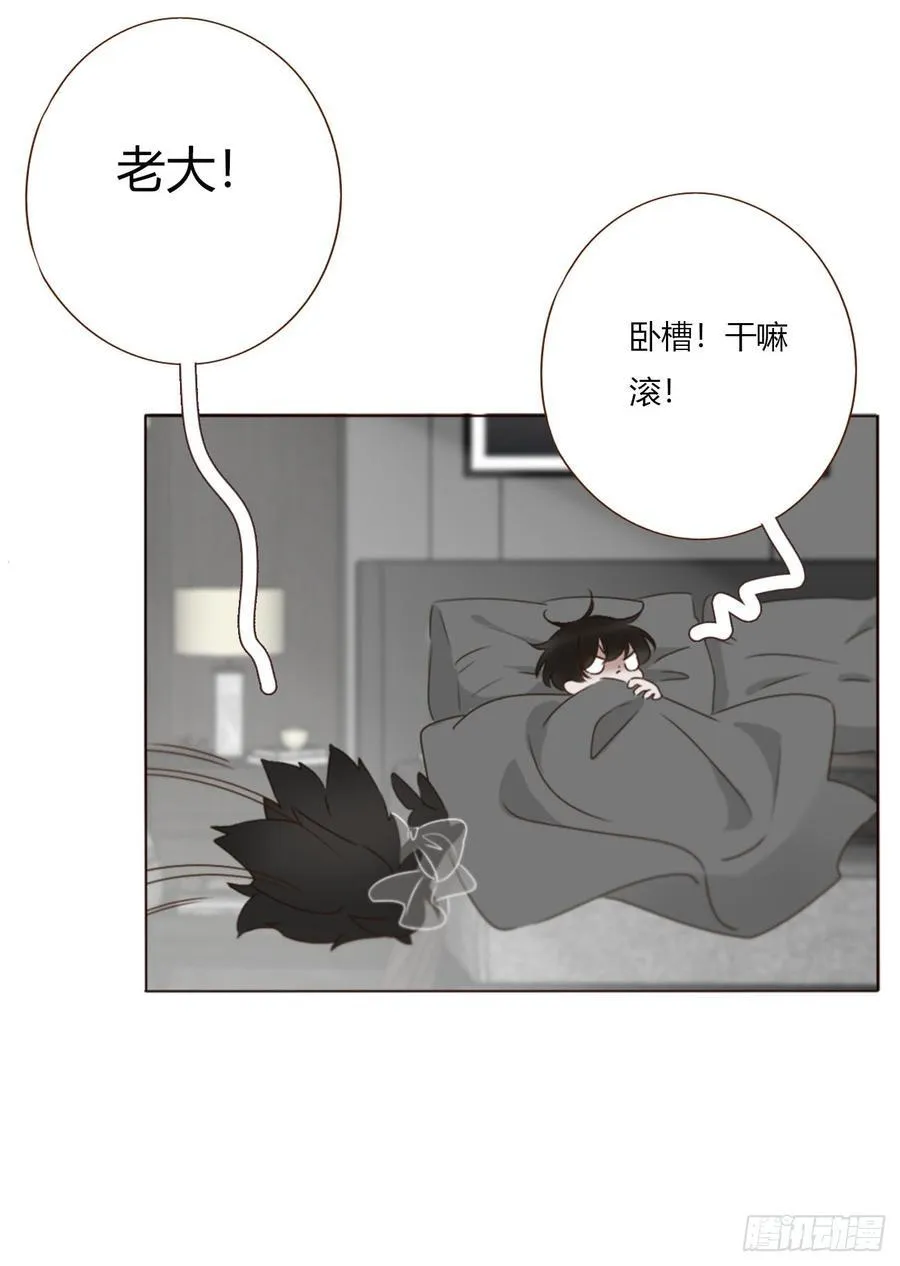 一七四章 千岩身上的秘密2 第22页
