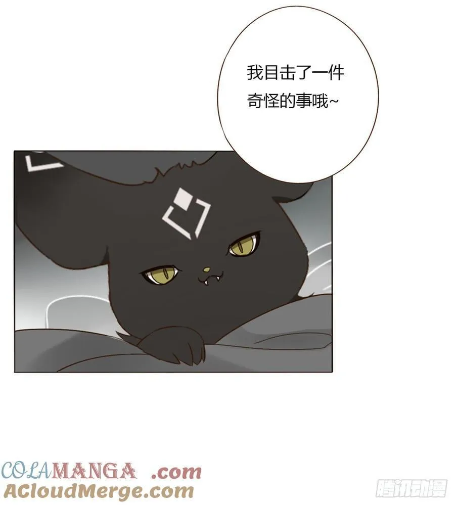 一七四章 千岩身上的秘密2 第23页