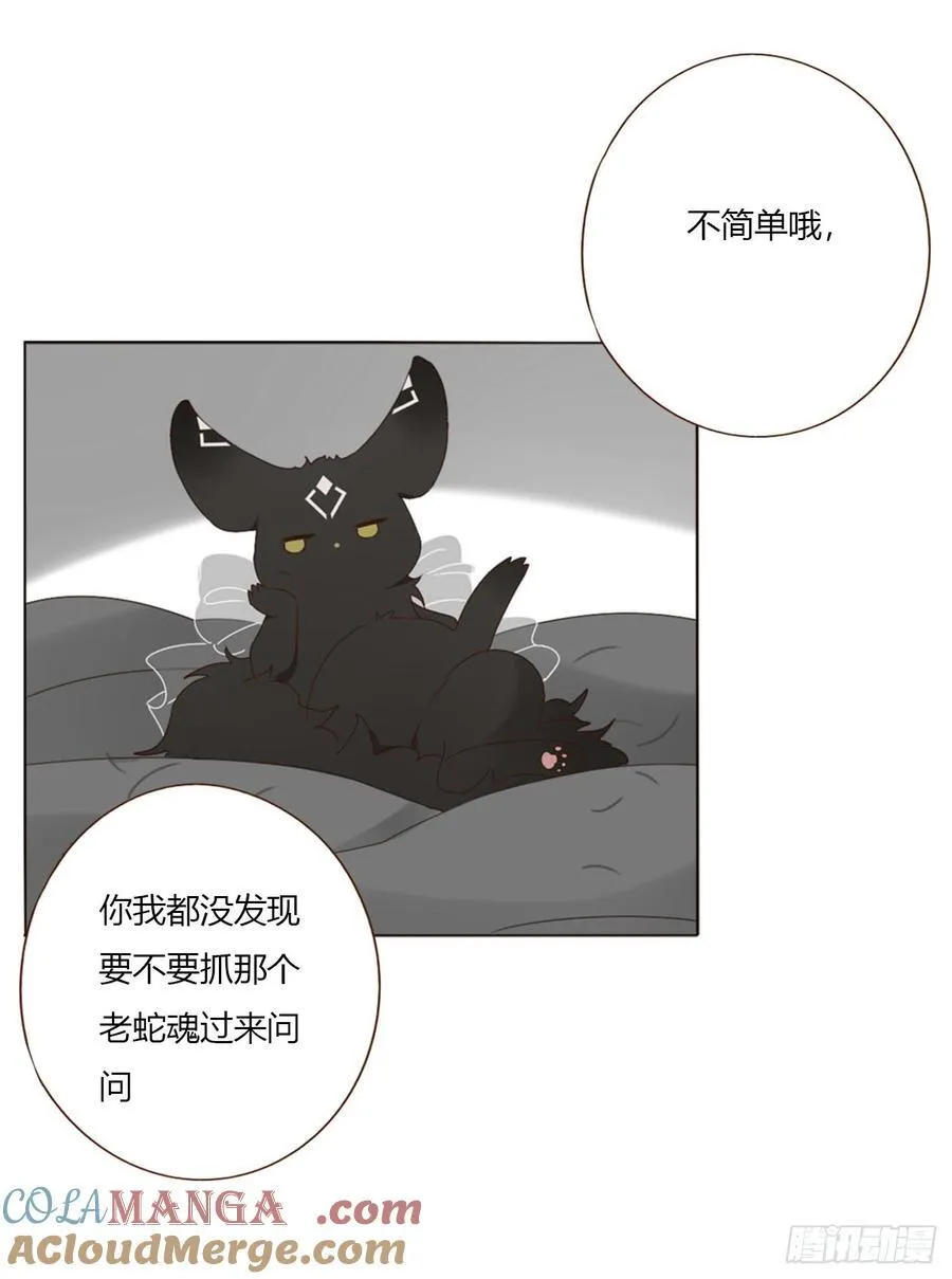 一七四章 千岩身上的秘密2 第29页