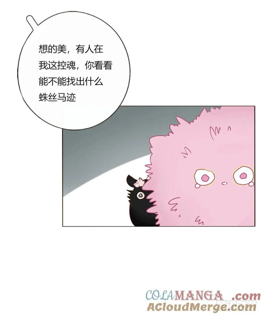 一七五章 千岩身上的秘密3 第31页