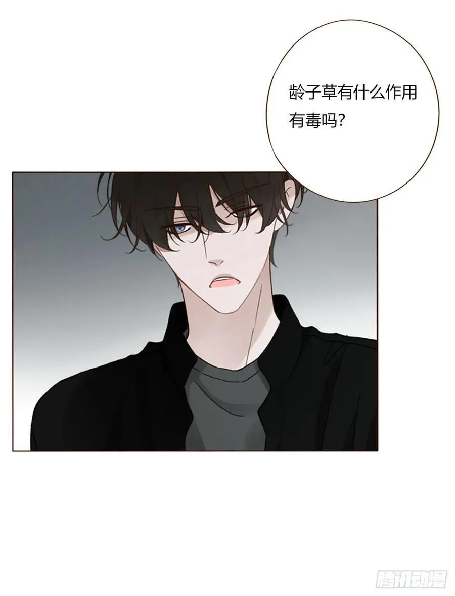 一七八章 算计蛮蟒 第21页