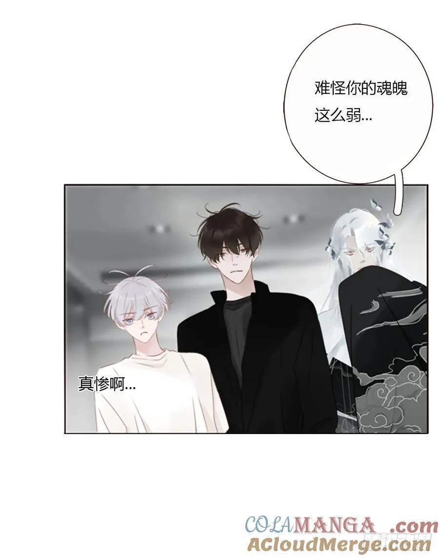 一七九章 蛮蟒的过去 第13页