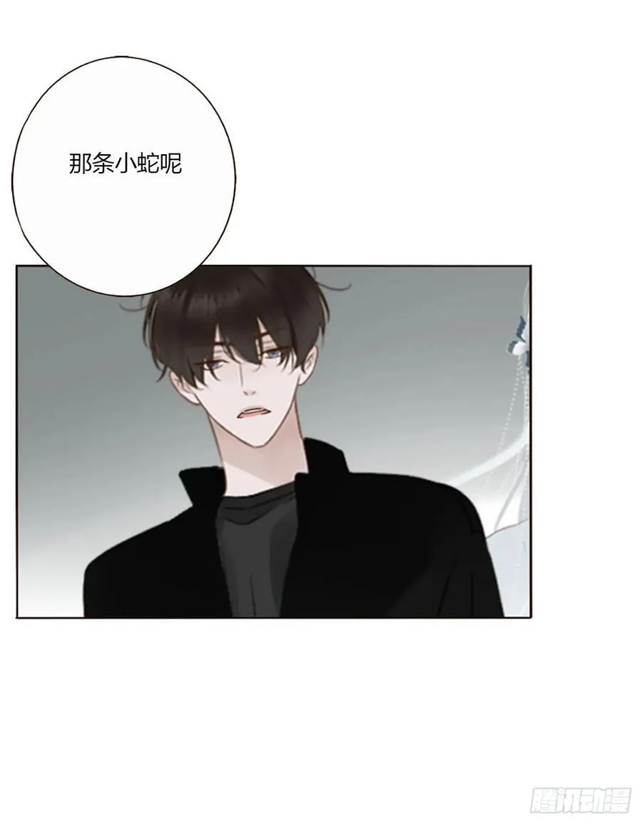 一七九章 蛮蟒的过去 第14页
