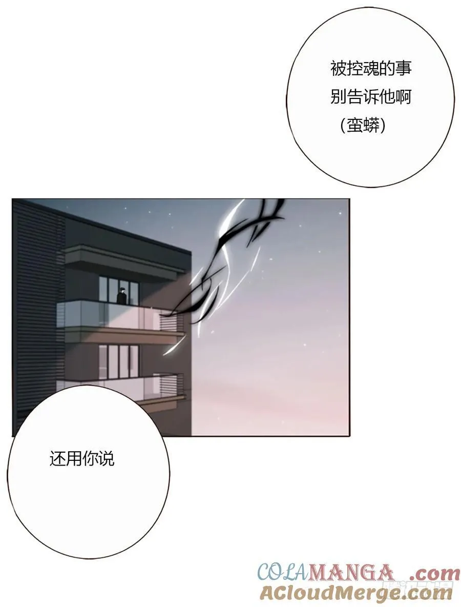 一七九章 蛮蟒的过去 第19页