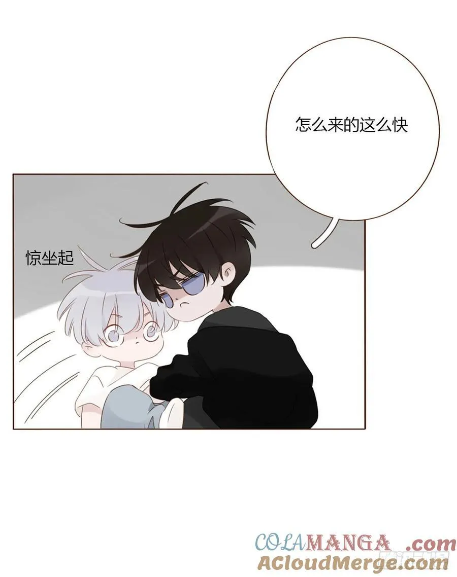 一七九章 蛮蟒的过去 第37页