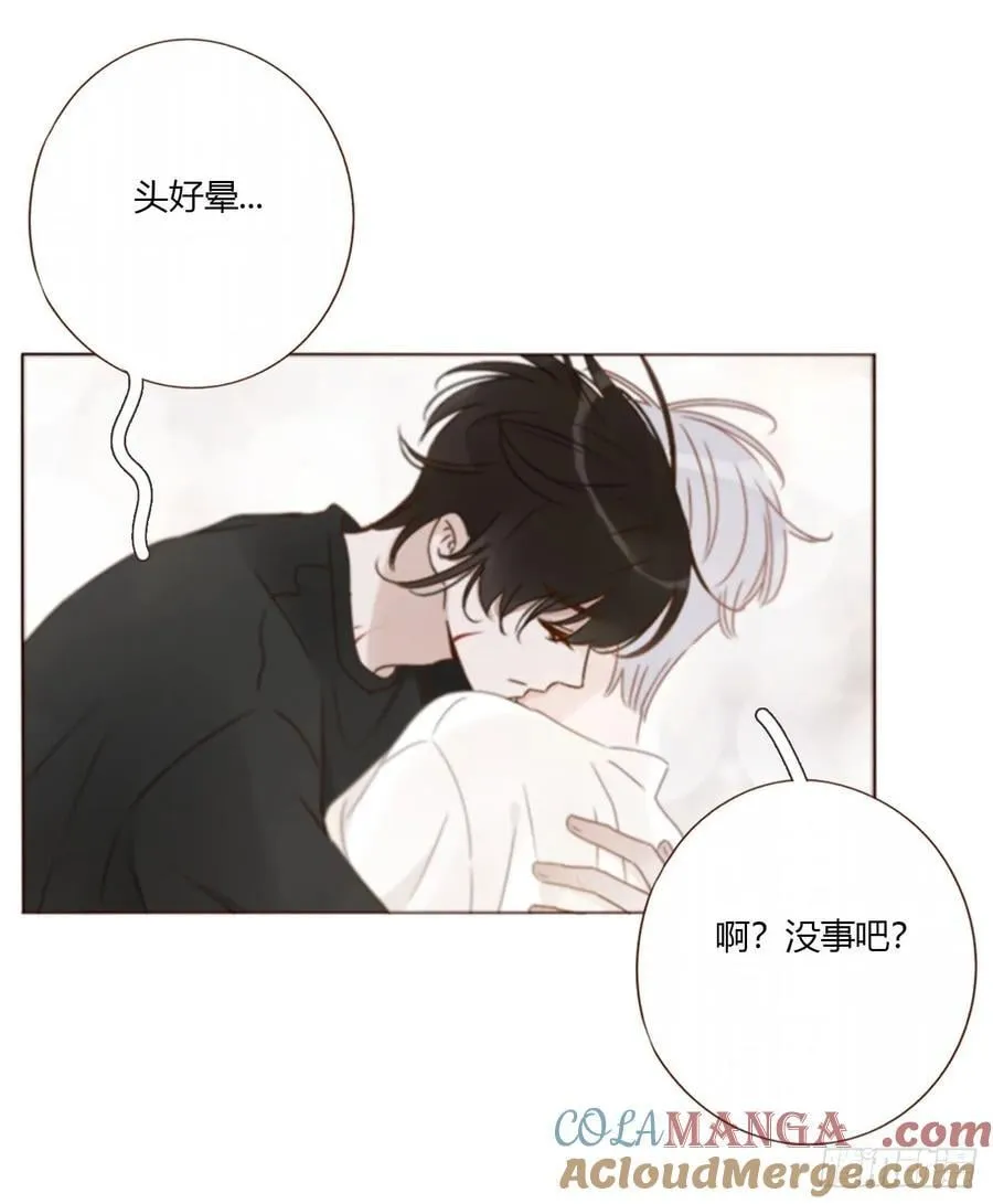 一八零章 我头晕~ 第13页