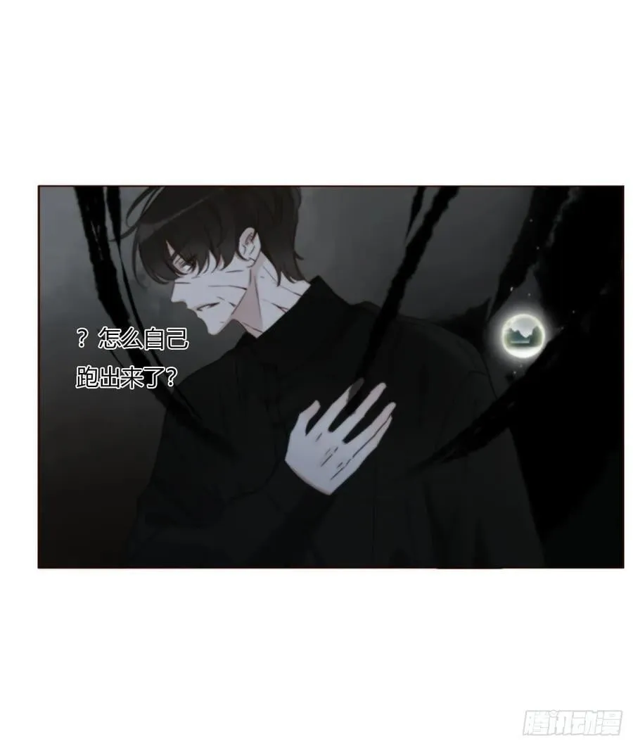 一八四章 师父来了 第4页