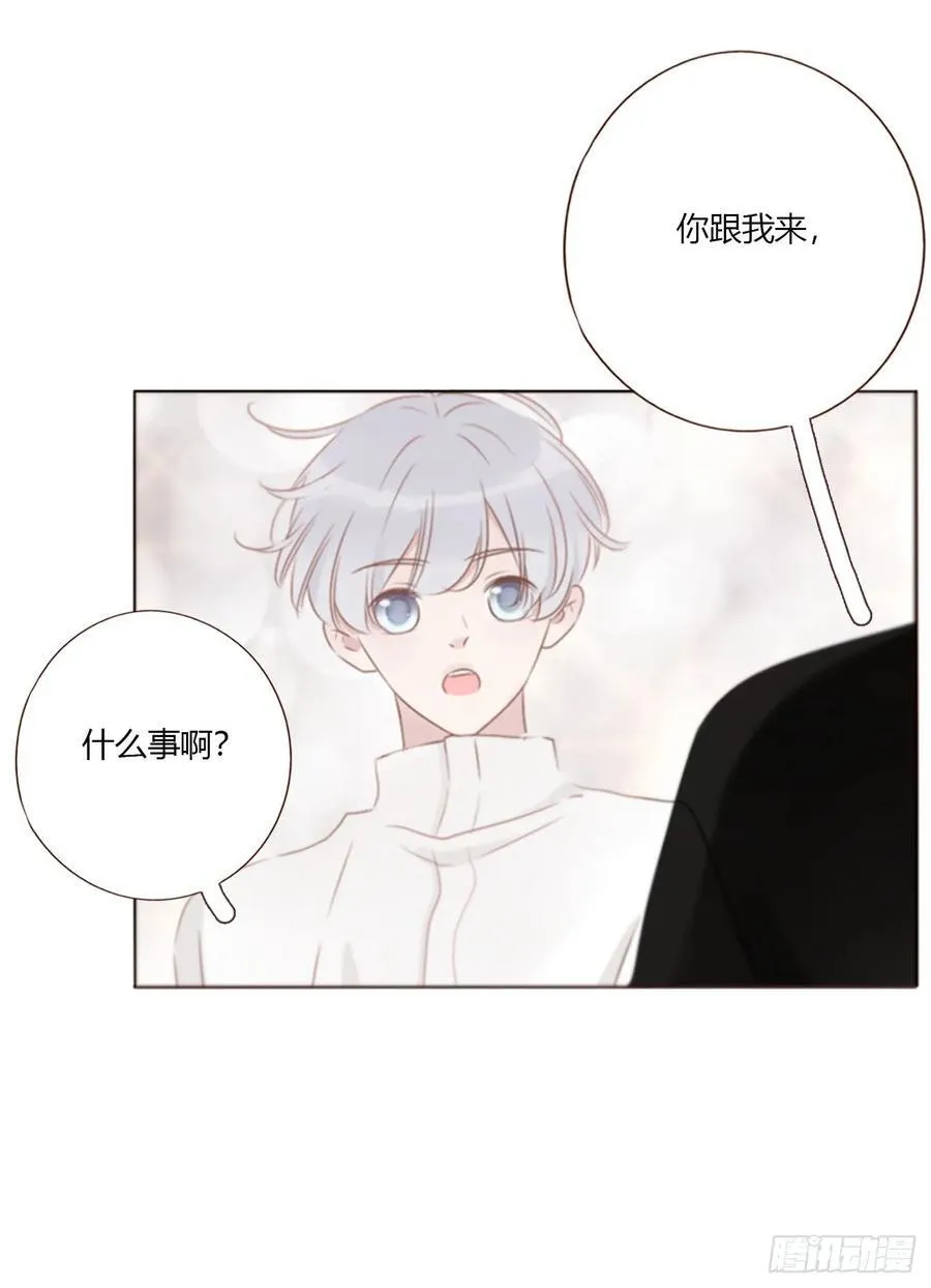 一八五章 雷击木 第12页