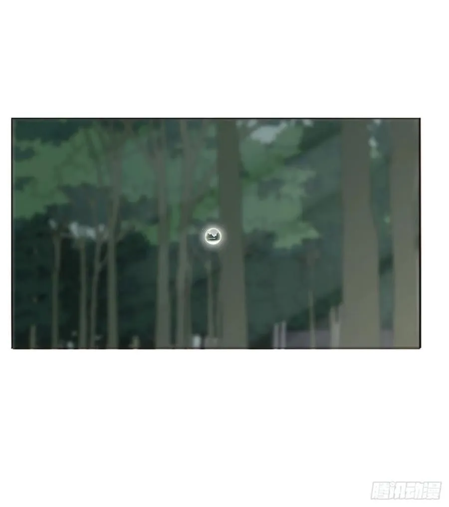 一八五章 雷击木 第14页