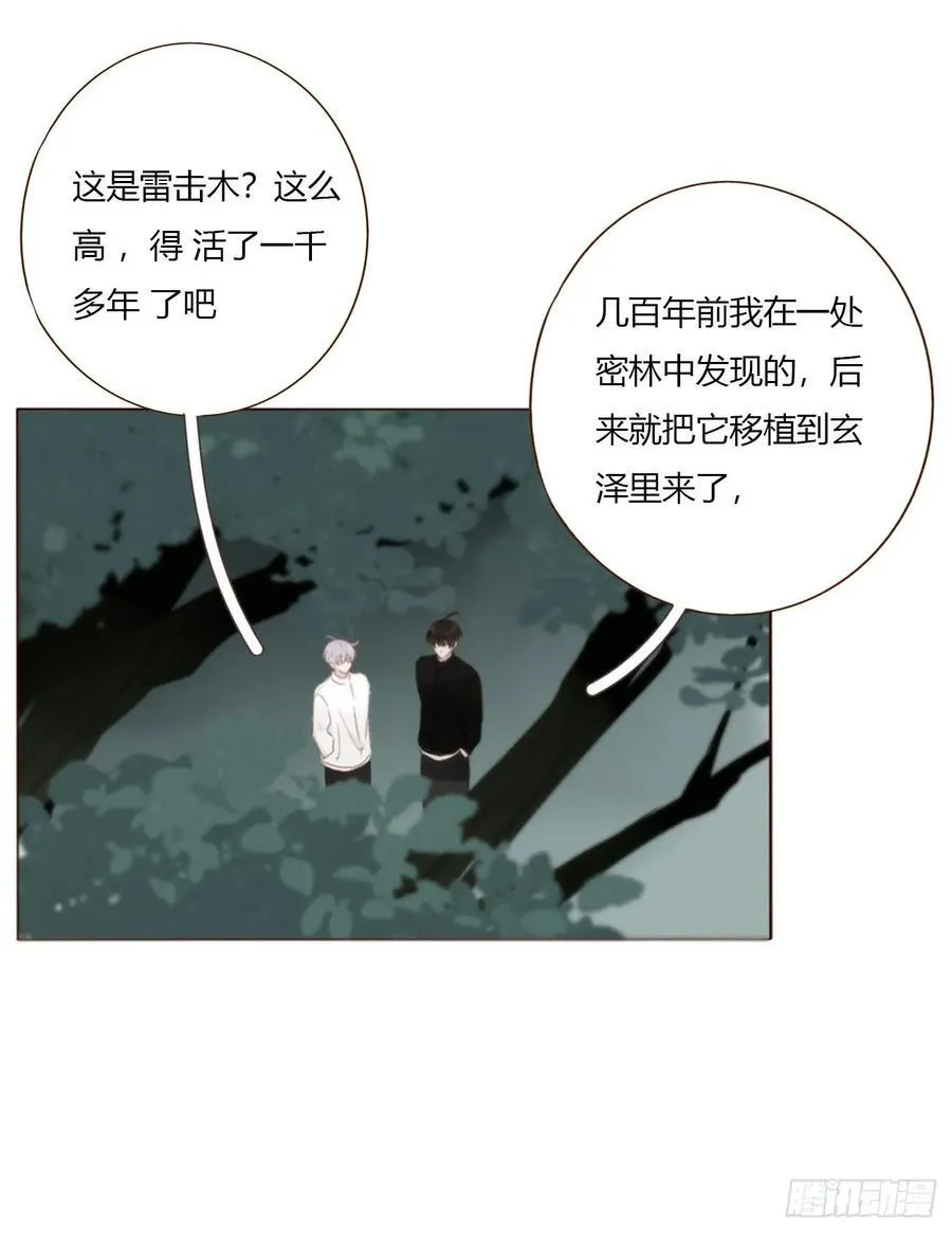一八五章 雷击木 第24页