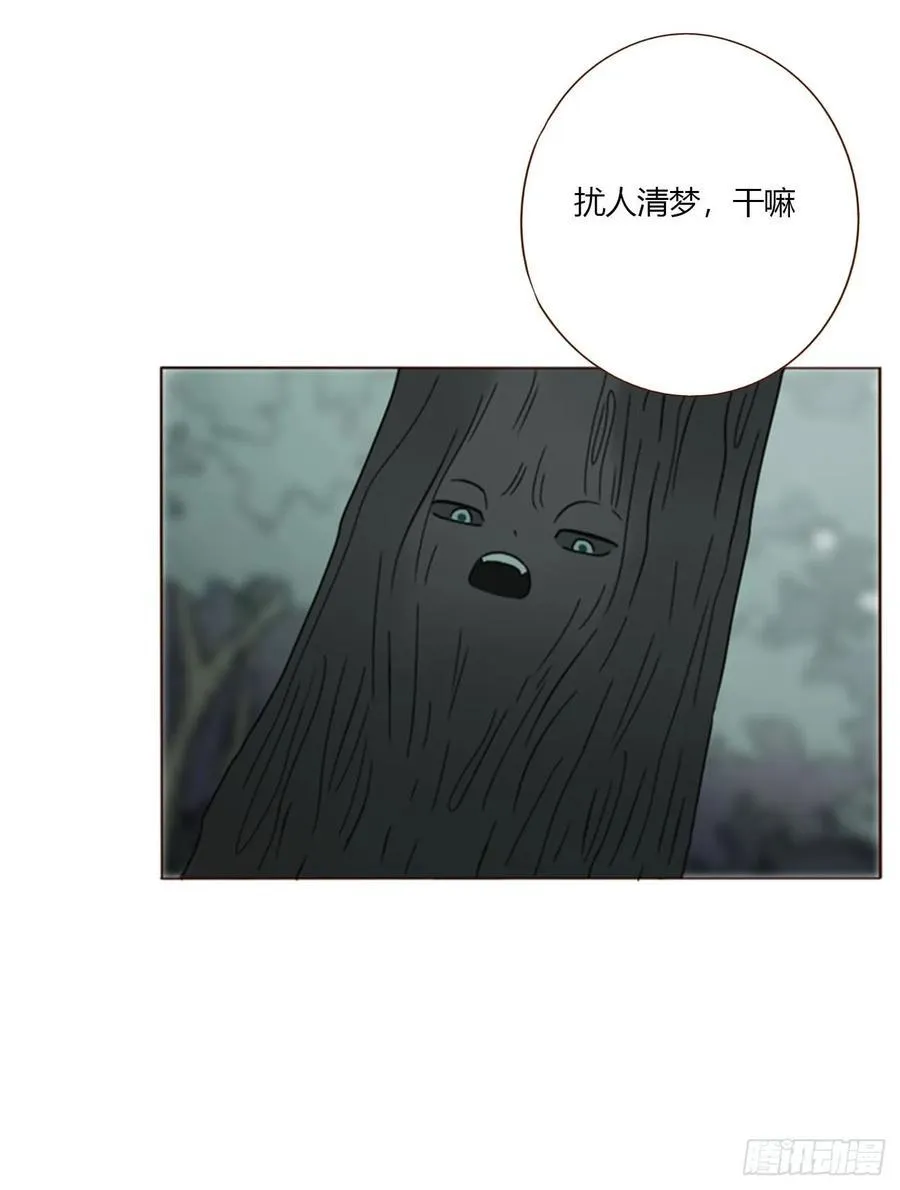 一八五章 雷击木 第27页