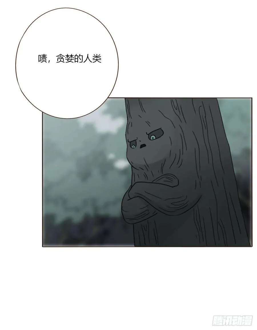 一八五章 雷击木 第29页
