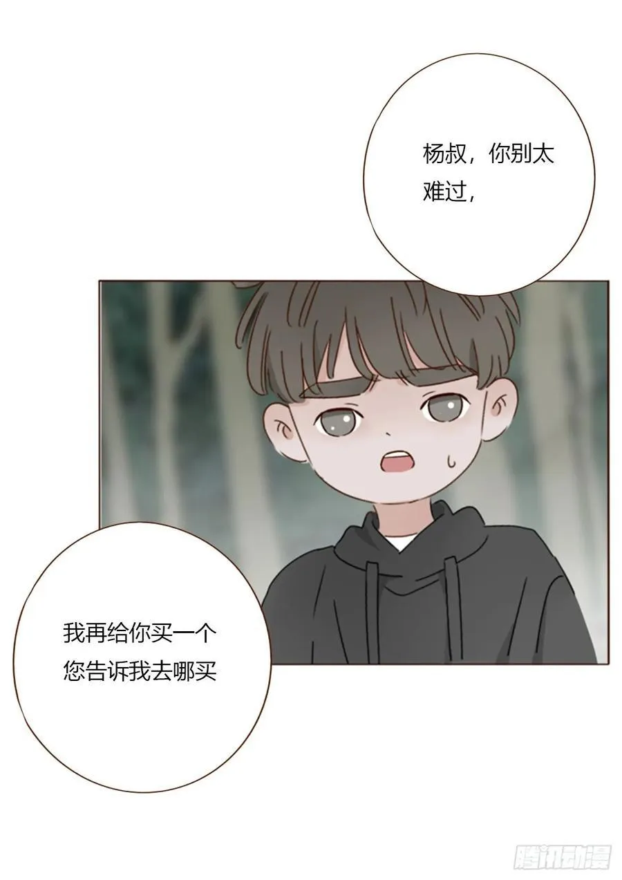 一八五章 雷击木 第33页