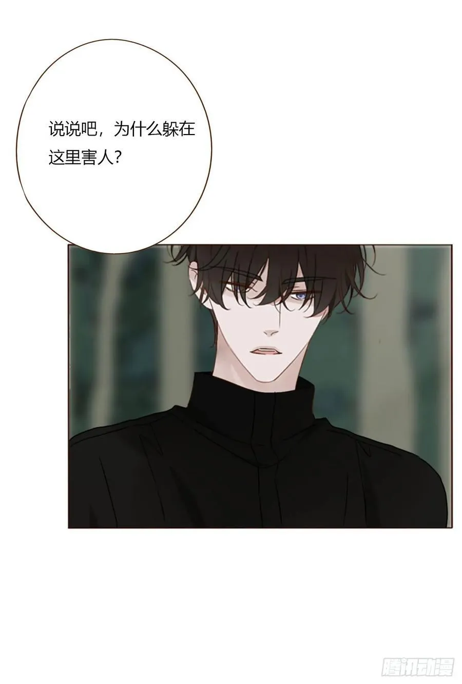 一八五章 雷击木 第41页