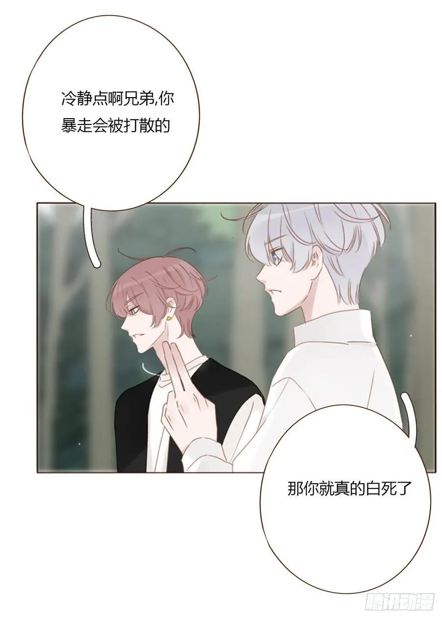 一八六章 反杀 第23页