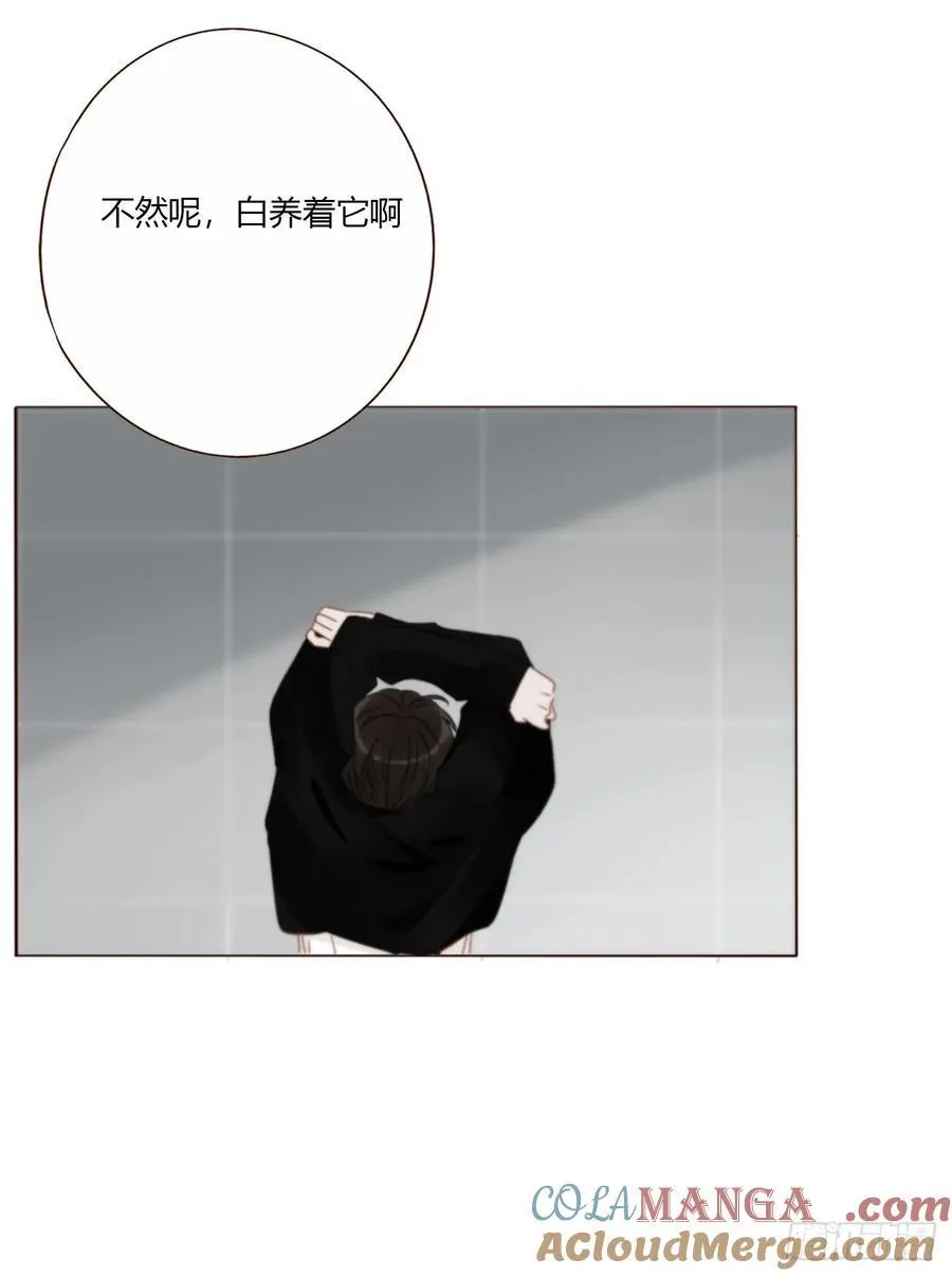 一八六章 反杀 第43页