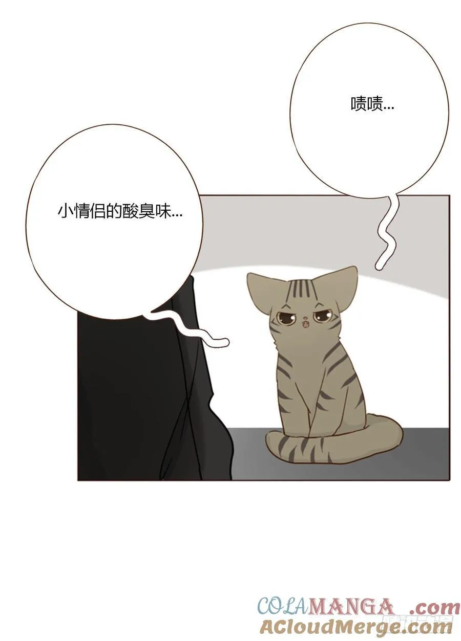 一八七章 角色互换 第15页