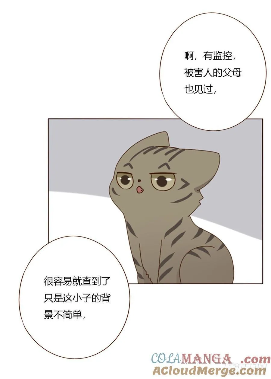 一八七章 角色互换 第17页