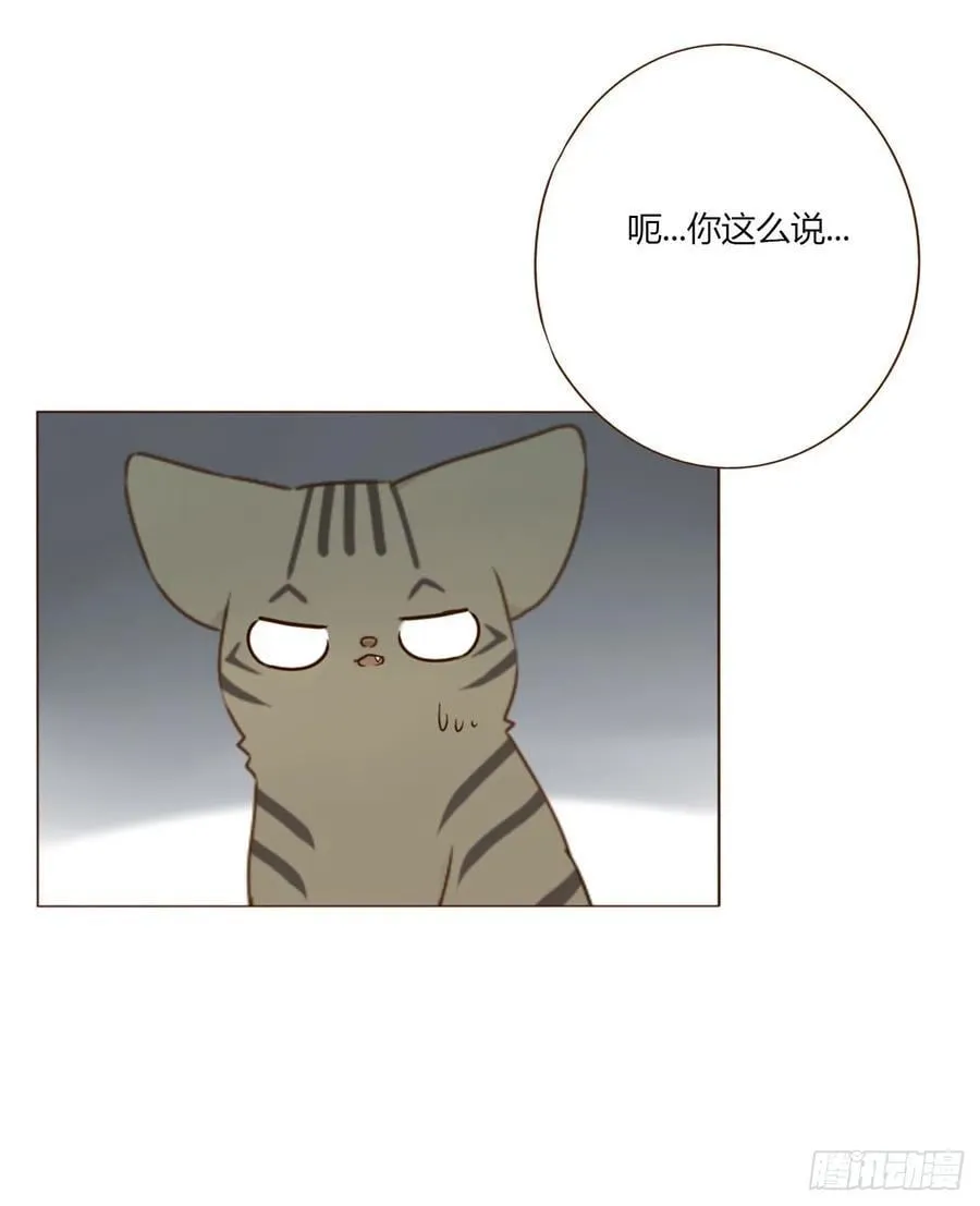 一八九章 清算1 第18页