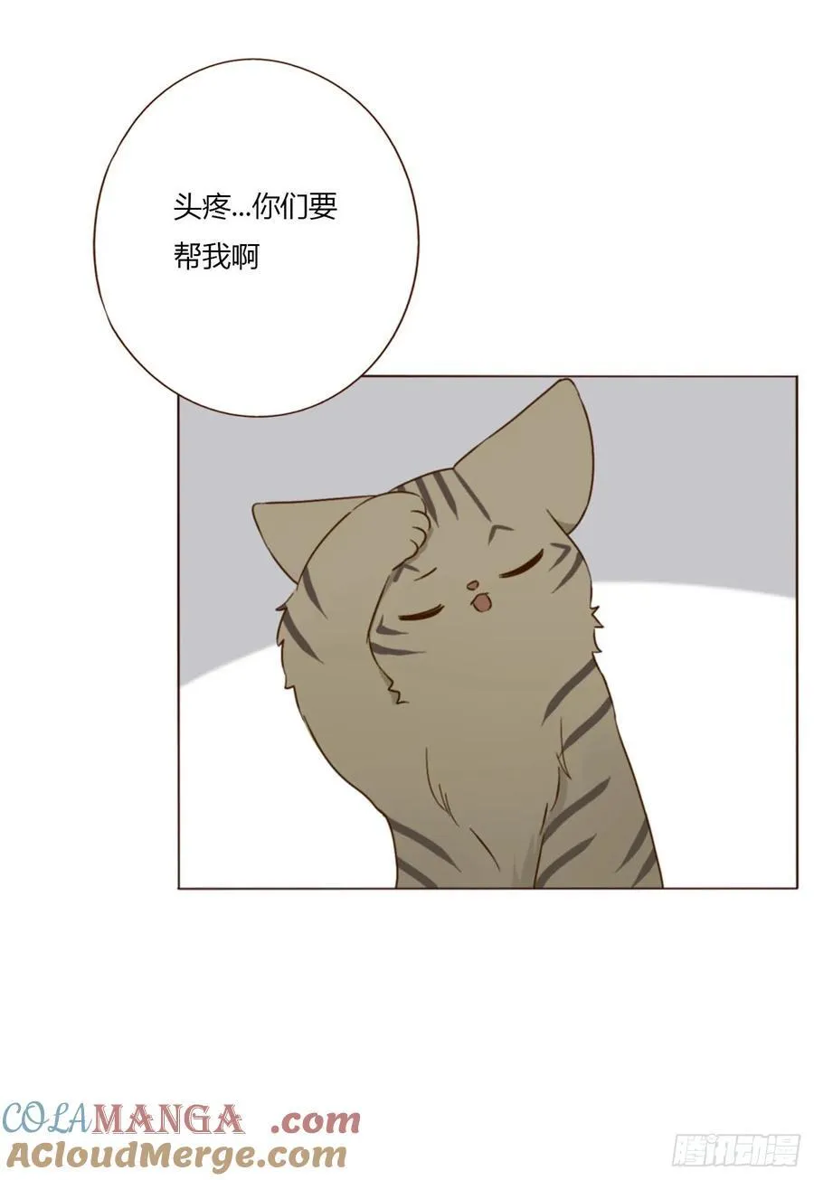 一八九章 清算1 第23页