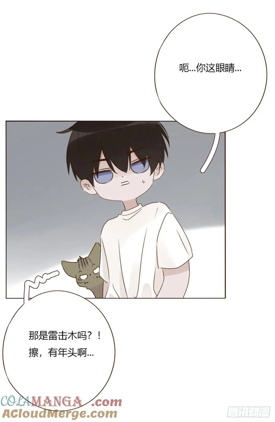 一八九章 清算1 第29页