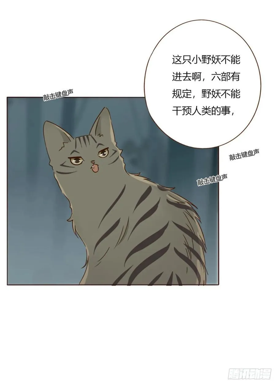 一九零章 清算2 第6页
