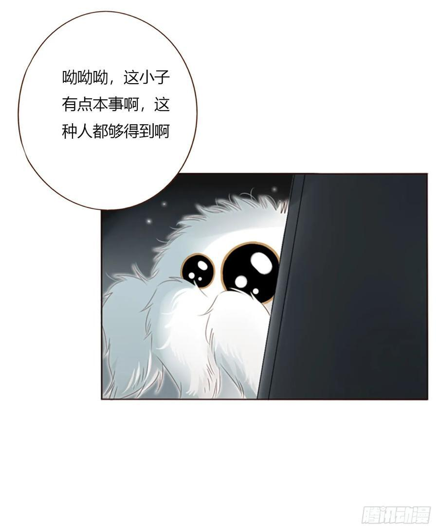 一九一章 清算3 第14页