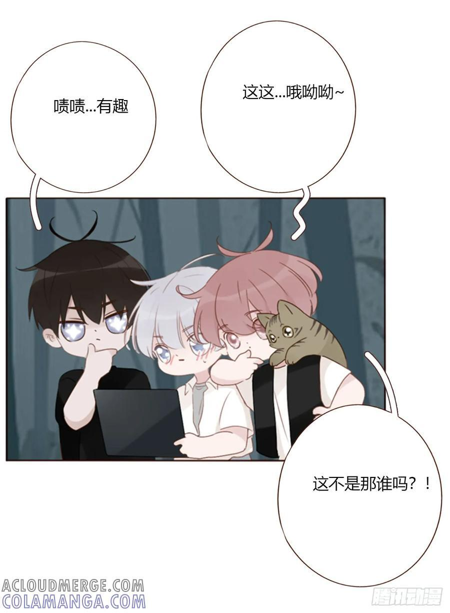 一九一章 清算3 第15页