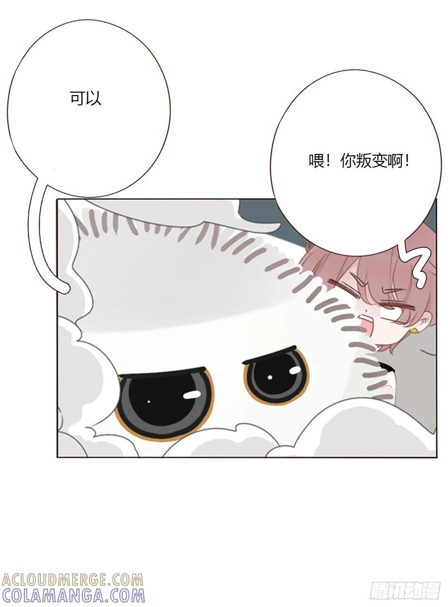 一九二章 做我们的孩子吧 第13页