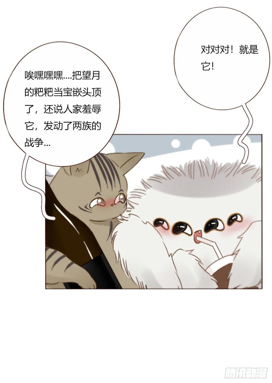 一九六章 十印 第8页
